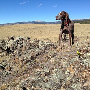 Colorado Scenery