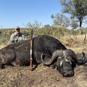 Buffalo Hunting