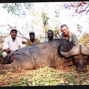 Buffalo Hunting