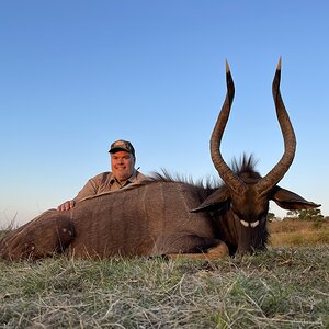 Nyala Hunting Eastern Cape South Africa