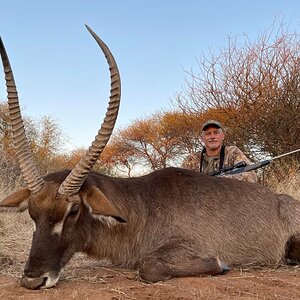 Waterbuck Hunt South Africa