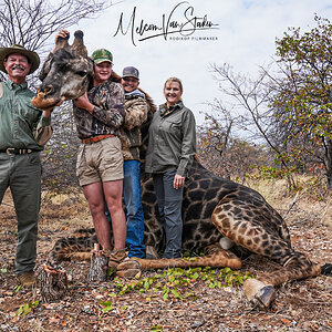 Giraffe Hunt South Africa