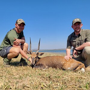 Bushbuck Hunt Zimbabwe