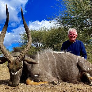 Nyala Hunt South Africa