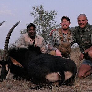 Sable Hunt South Africa