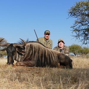 Blue Wildebeest Hunt South Africa