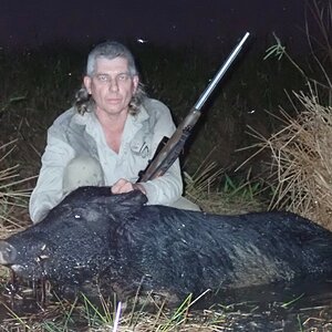 Pig Hunting Australia