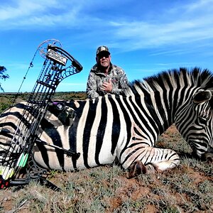 Zebra Hunt With Compound Bow