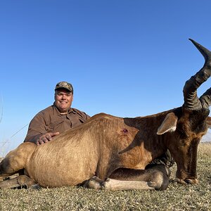 Red Hartebeest Hunt Eastern Cape South Africa