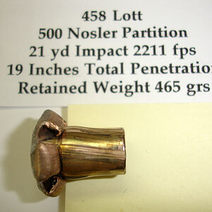 458 Lott 500 Partition Ammunition