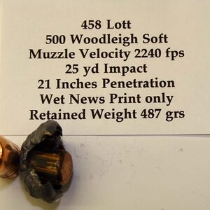 458 Lott 500 Woodleigh Soft Ammunition