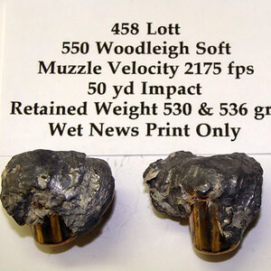 458 Lott 500 Woodleigh Soft Ammunition