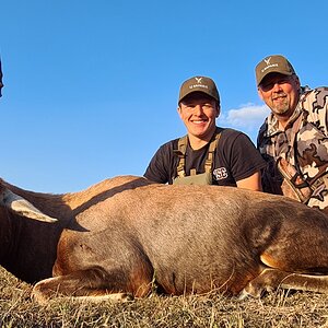 Blesbok Hunt Eastern Cape South Africa