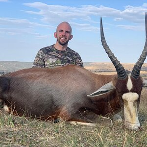 Blesbok Hunt Eastern Cape South Africa