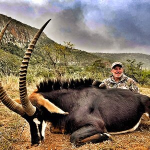 Sable Hunt Eastern Cape South Africa