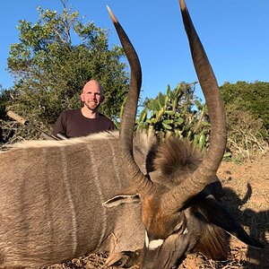 Nyala Hunt Eastern Cape South Africa