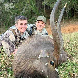 Nyala Hunt Eastern Cape South Africa