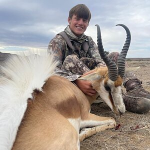 Springbok Hunt Eastern Cape South Africa