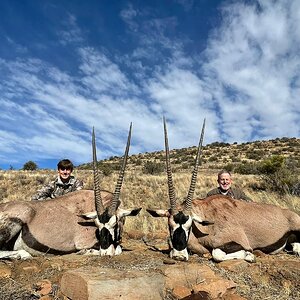 Gemsbok Hunt Eastern Cape South Africa