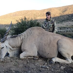 Eland Hunt Eastern Cape South Africa