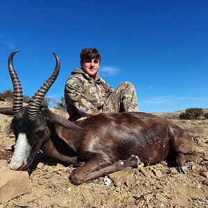 Black Springbok Hunt Eastern Cape South Africa