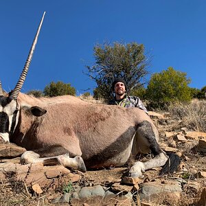 Gemsbok Hunt Eastern Cape South Africa