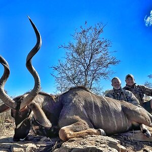 Kudu Hunt Eastern Cape South Africa