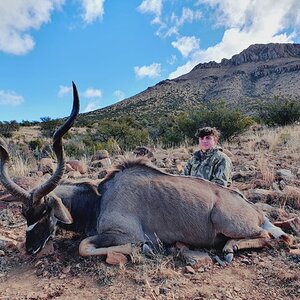 Kudu Hunt Eastern Cape South Africa