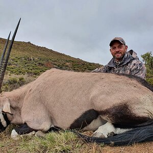 Gemsbok Hunt Eastern Cape South Africa