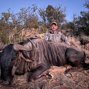 Blue Wildebeest Hunt Eastern Cape South Africa