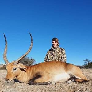 Lechwe Hunt Eastern Cape South Africa