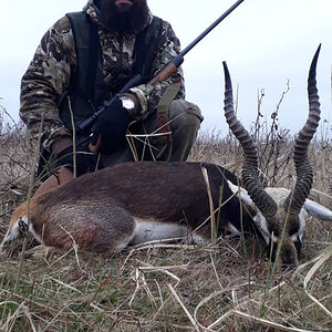 Blackbuck Hunt Argentina