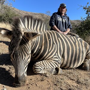 Zebra Hunting South Africa