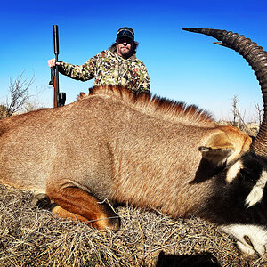 Roan Hunting South Africa