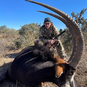 Sable Hunting South Africa