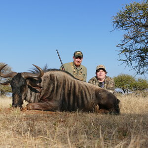 Blue Wildebeest Hunting South Africa