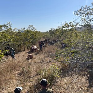 Meat Distribution Between The Local People