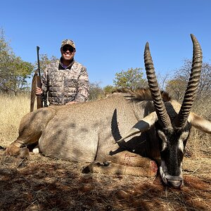 Roan Hunting South Africa