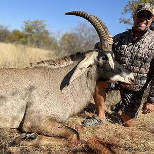 Roan Hunting South Africa