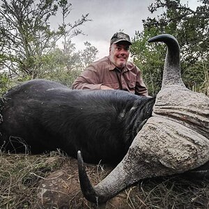 Baffalo Hunt Eastern Cape South Africa