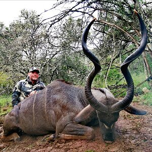 Kudu Hunt Eastern Cape South Africa