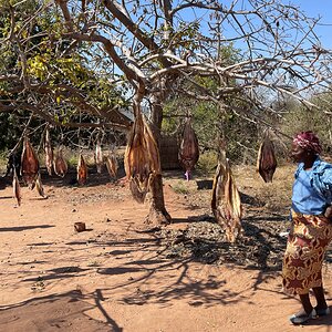 Fishing village Zimbabwe