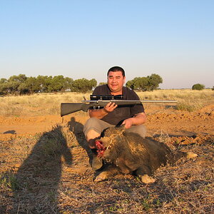 Pig Hunting Australia