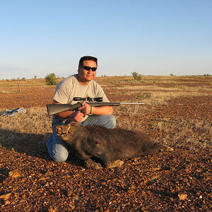 Pig Hunting Australia