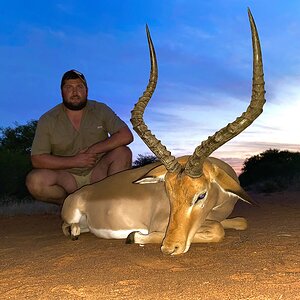 Impala Hunting South Africa