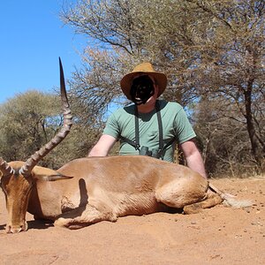 Impala Hunting South Africa