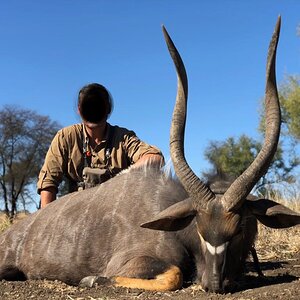 Nyala Hunting South Africa