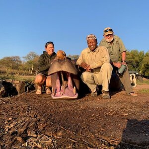 Hunting Hippo Zimbabwe