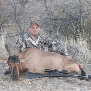 Red Hartebeest Hunt Khomas Highland Namibia