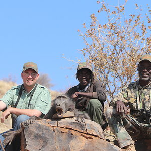 Baboon Hunt Khomas Highland Namibia